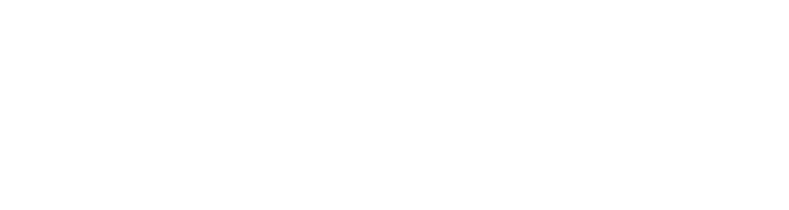 NAI Burns scalo